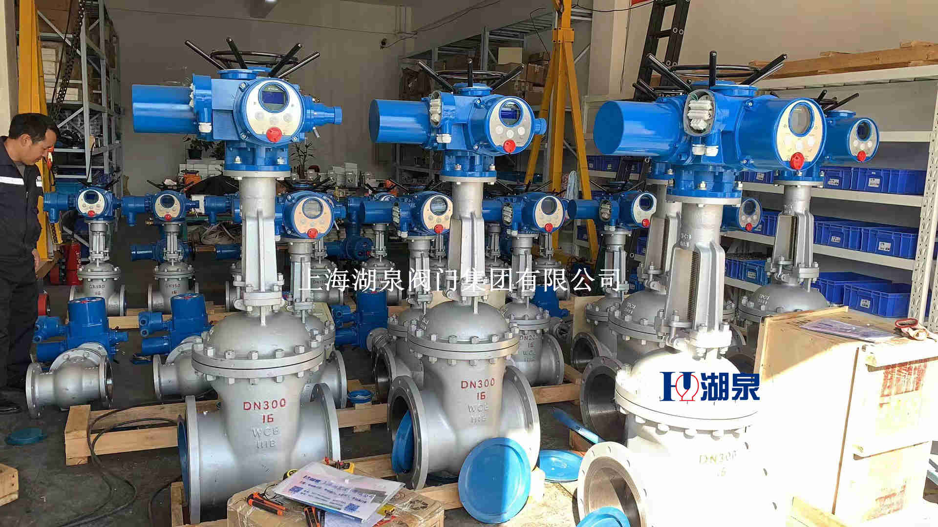 電動(dòng)閘閥z941h-64C DN200