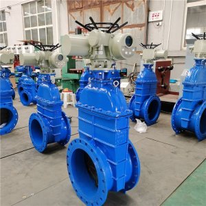 電動(dòng)閘閥Z941h -64 DN500（石化行業(yè)、煉油廠