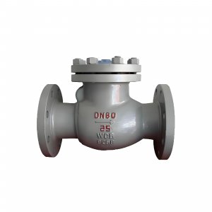 DN50 PN25 介質：甲胺，溫度：80℃止回閥